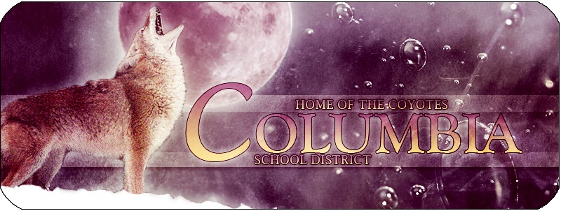 Columbia School District 400